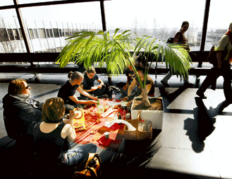 Ja siell&auml; kaikilla oli niin mukavaa! Palmun suojaamasta piknikist&auml; nauttivat Mikko K&auml;hk&ouml;nen (vas.), Touko Hujanen ja Jantso Jokelin. Selin istuvan opiskelijan nimi unohtui piknik-hurmoksessa. Kuva: Timo Marttila