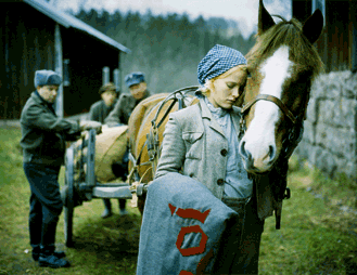 Moona (Laura Birn) suree, kun armeija pakkolunastaa h&auml;nen Roi-hevosensa syksyll&auml; 1939.